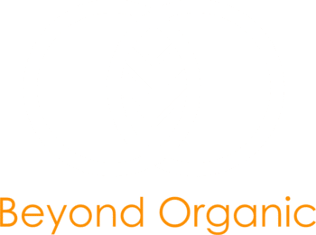 Beyond Organic | Pine Pollen Canada